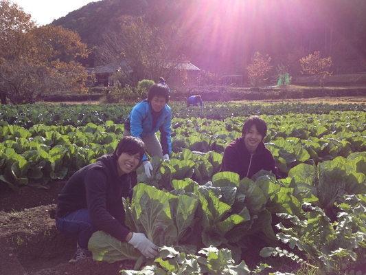 野菜収穫体験ツアー（大阪から）12/2 写真6
